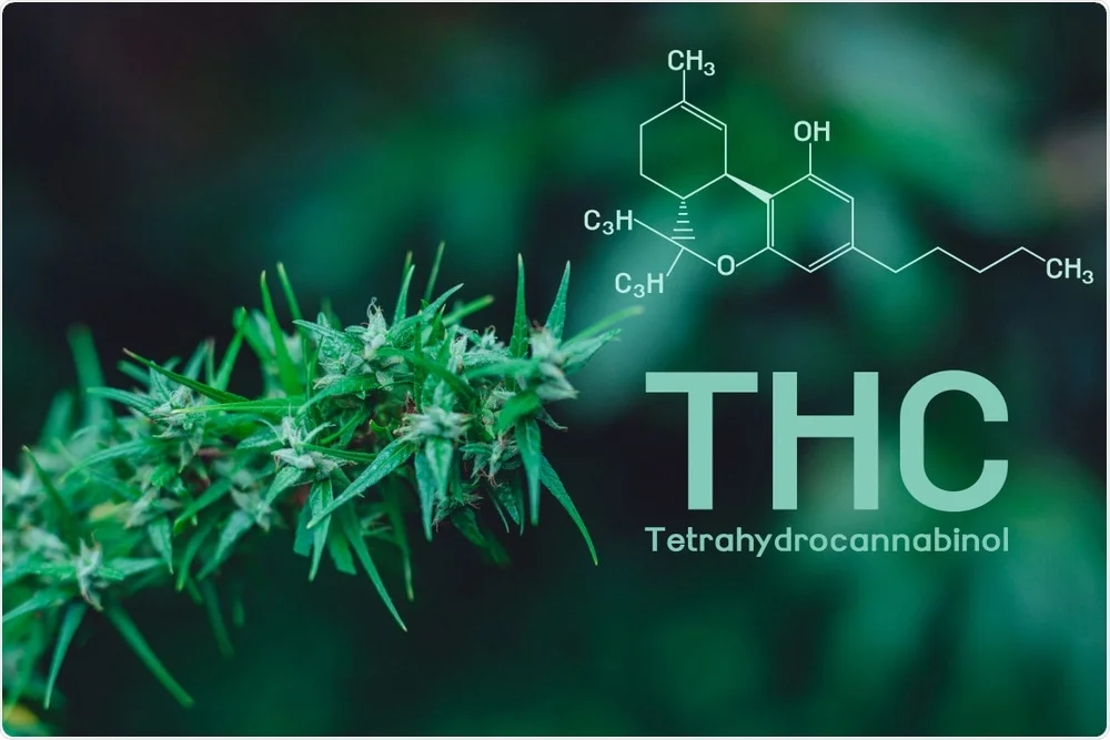 THC Solubility Chart