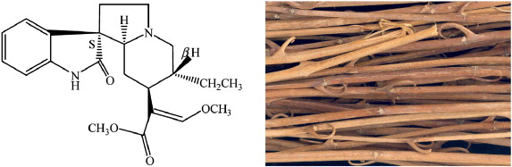 Isorhynchophylline