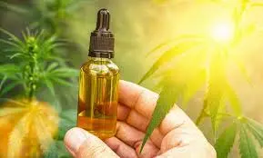 Cannabis Oil Wholesale