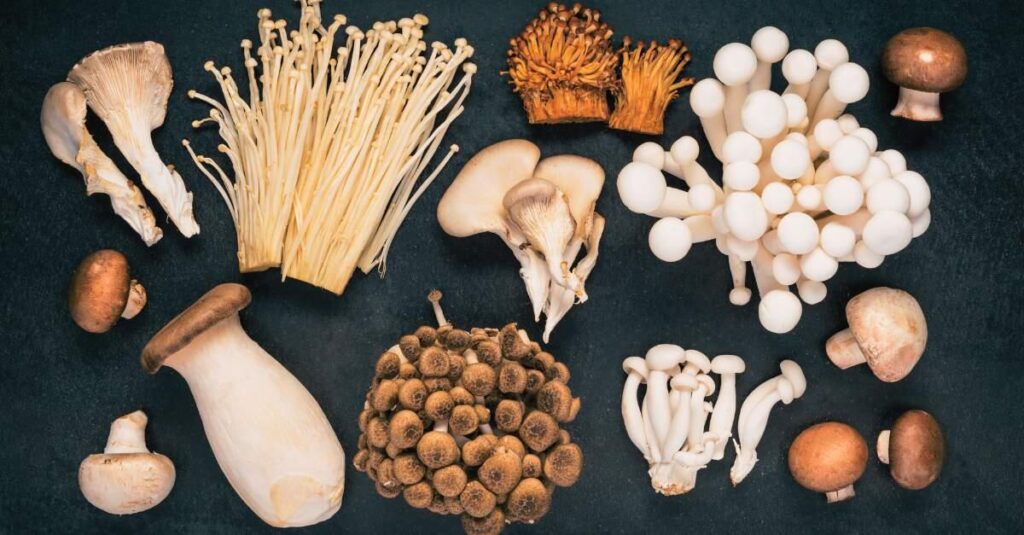 Functional Mushrooms